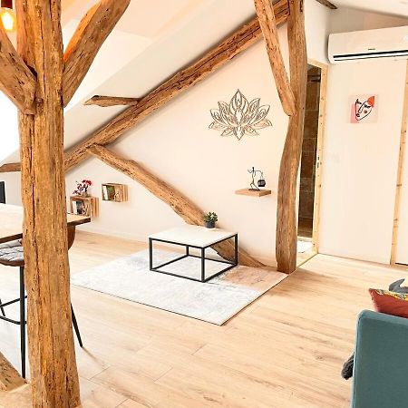 Apartamento Victor Hugo - Calme Auch Exterior foto